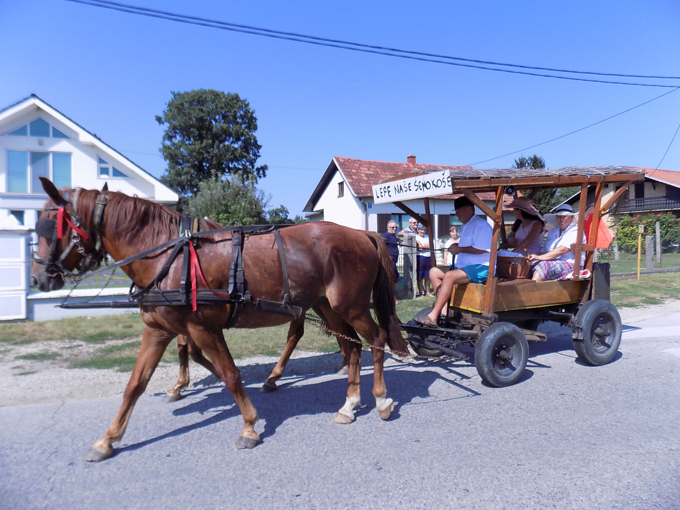 Povorka starih zanata i običaja u Svetom Martinu na Muri