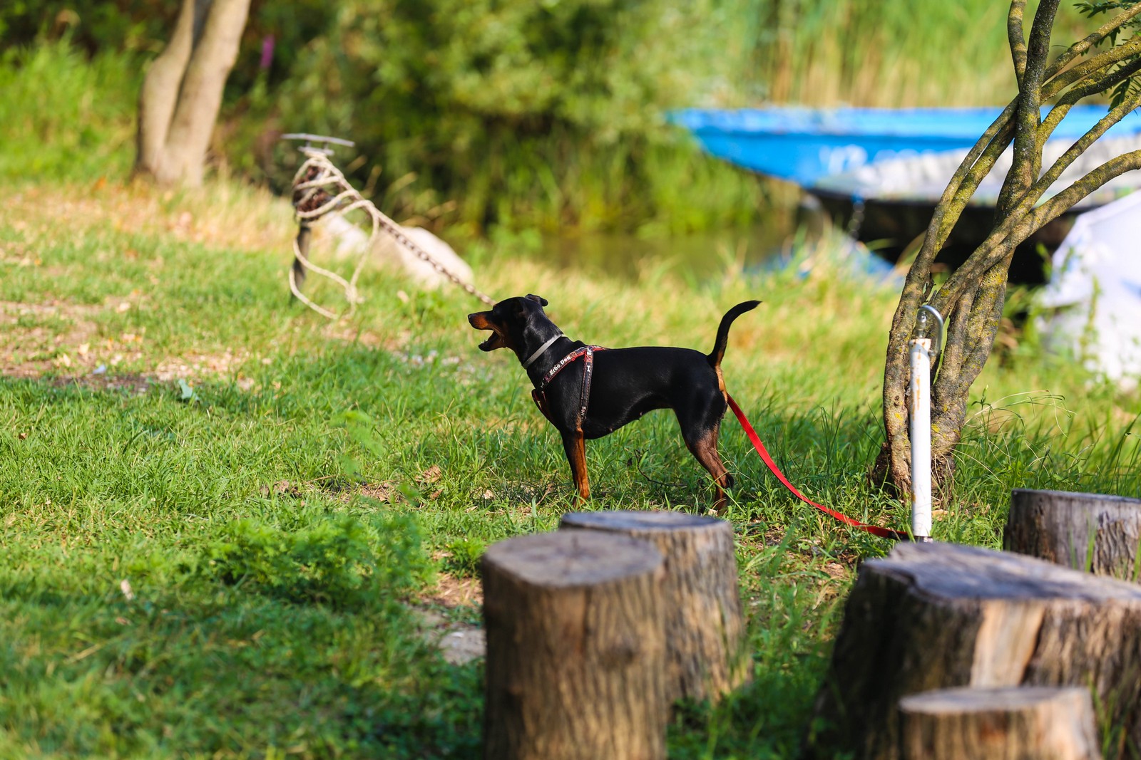 Klikom po Marini (nedjelja, 7.8.2022.)