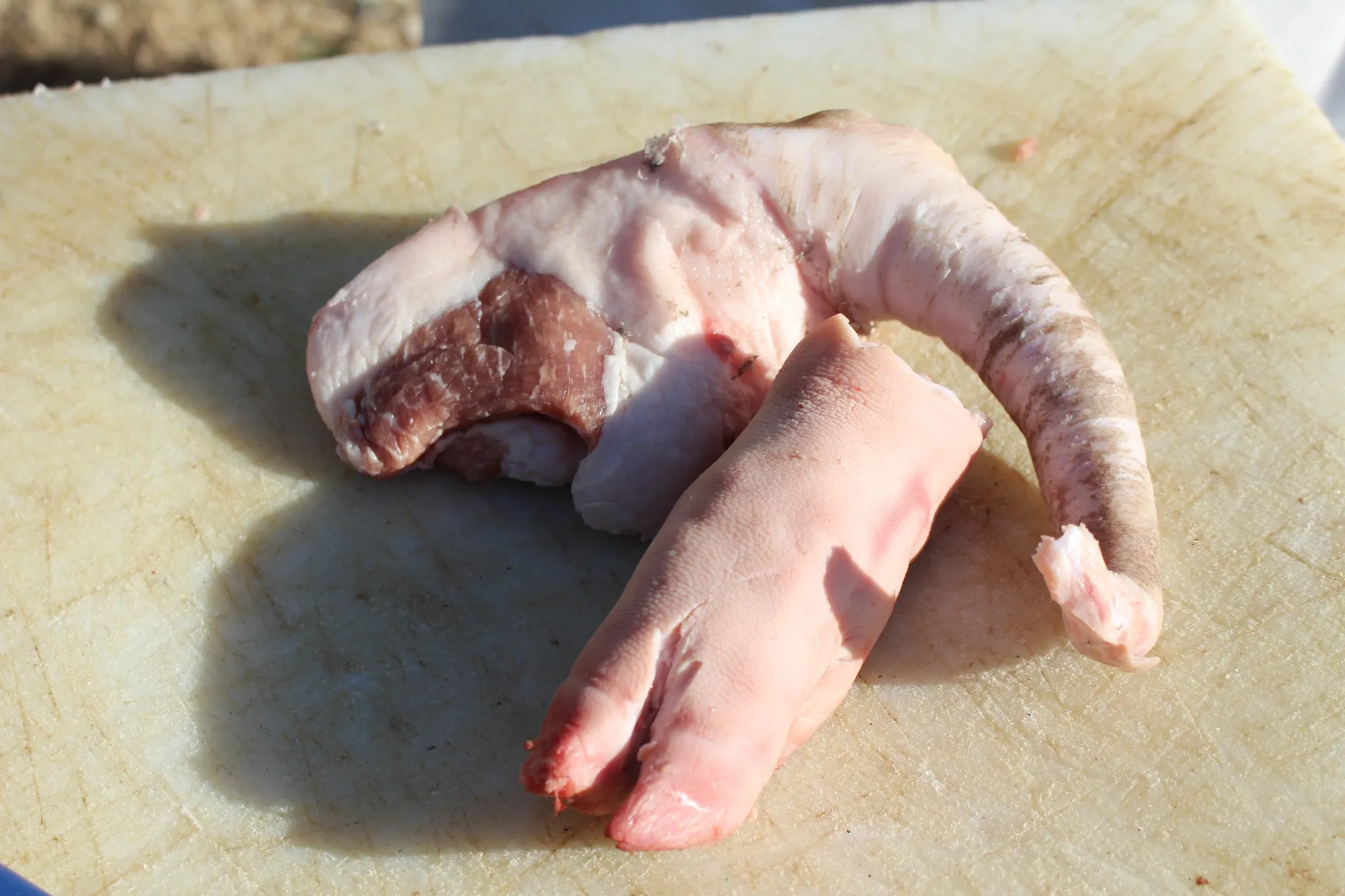 417687093_945096563772822_5875137218518432091_n