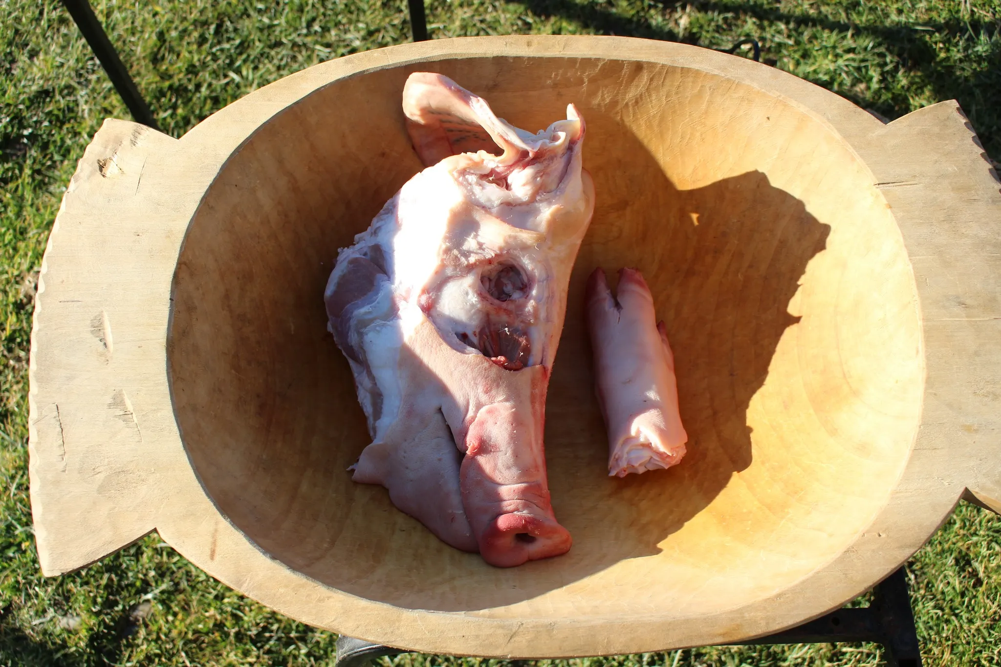 417690813_945097067106105_5269218213822806105_n