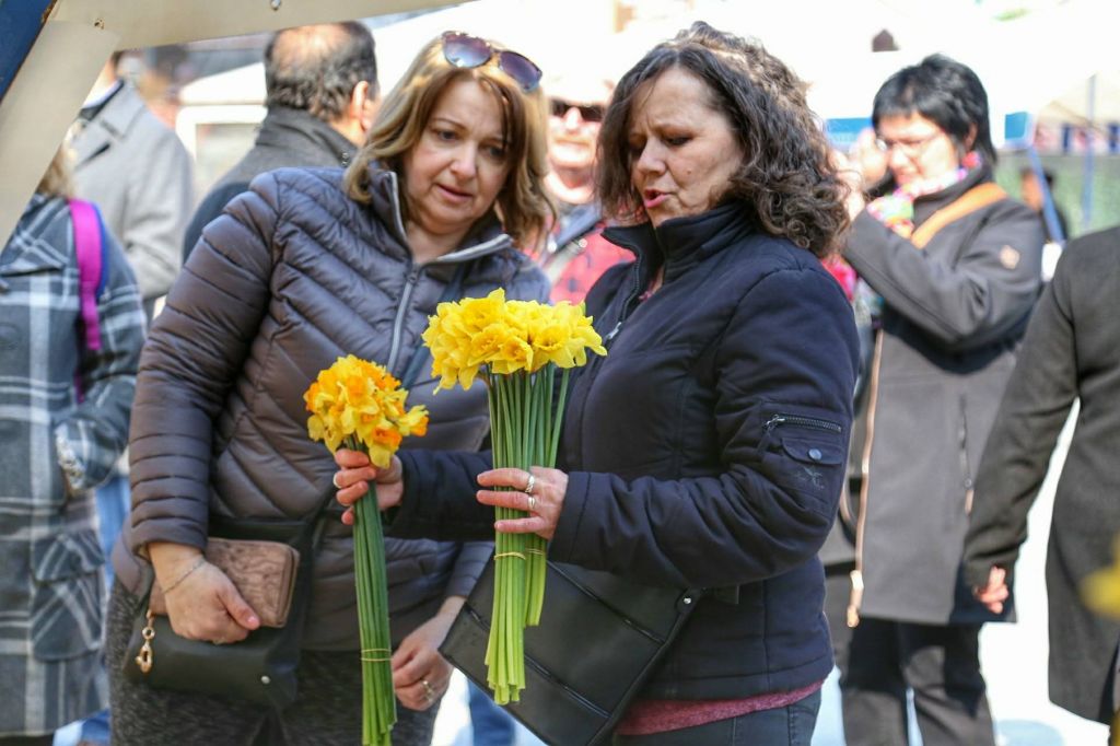 2940511210214618391670443106429