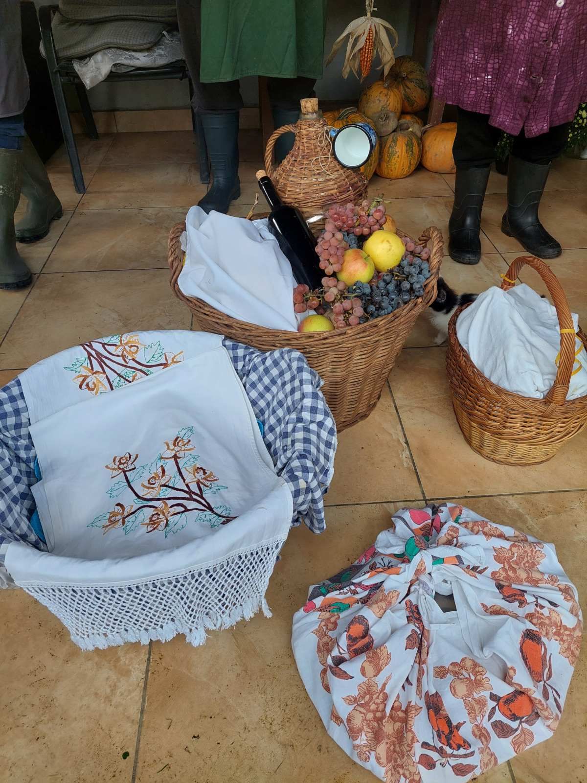 Branje kukuruza u Domašincu