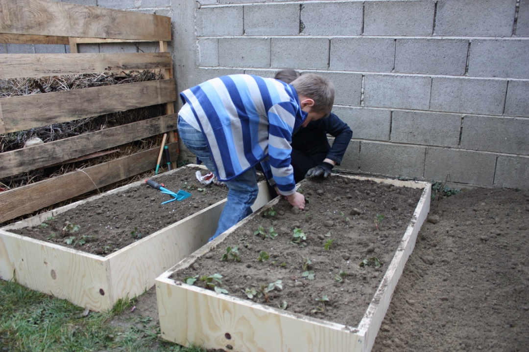 img4254resizekopija112041