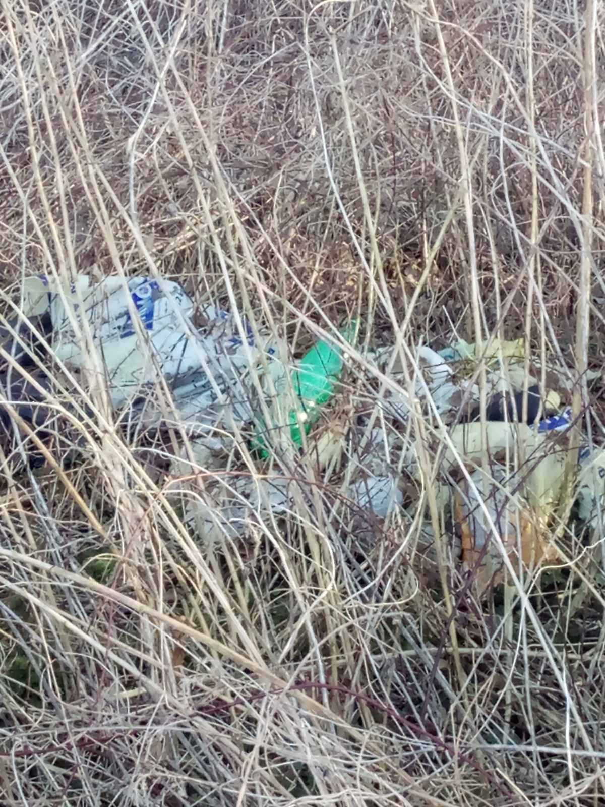 Hrpe smeća u šumi samo 50 metara od prvih kuća u Kotoribi