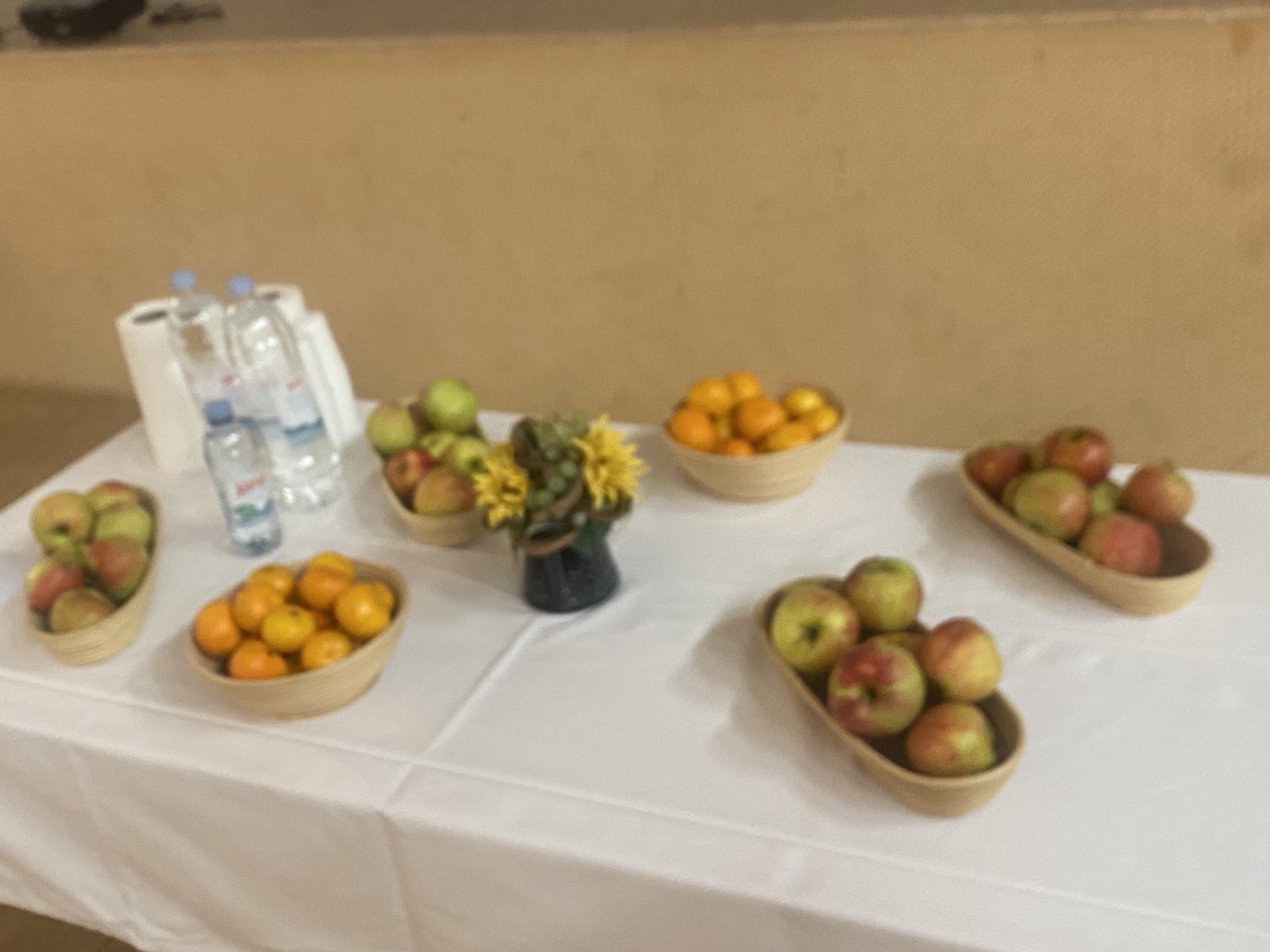 STRAHONINEC Instruktorica Astrid Mudri održala predavanje Udruzi žena o nordijskom hodanju