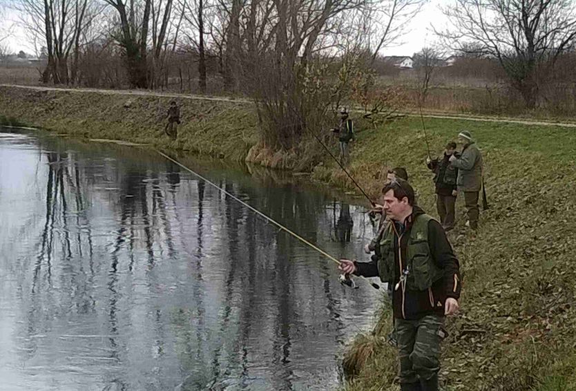 slikeizlumine6do13161034997034