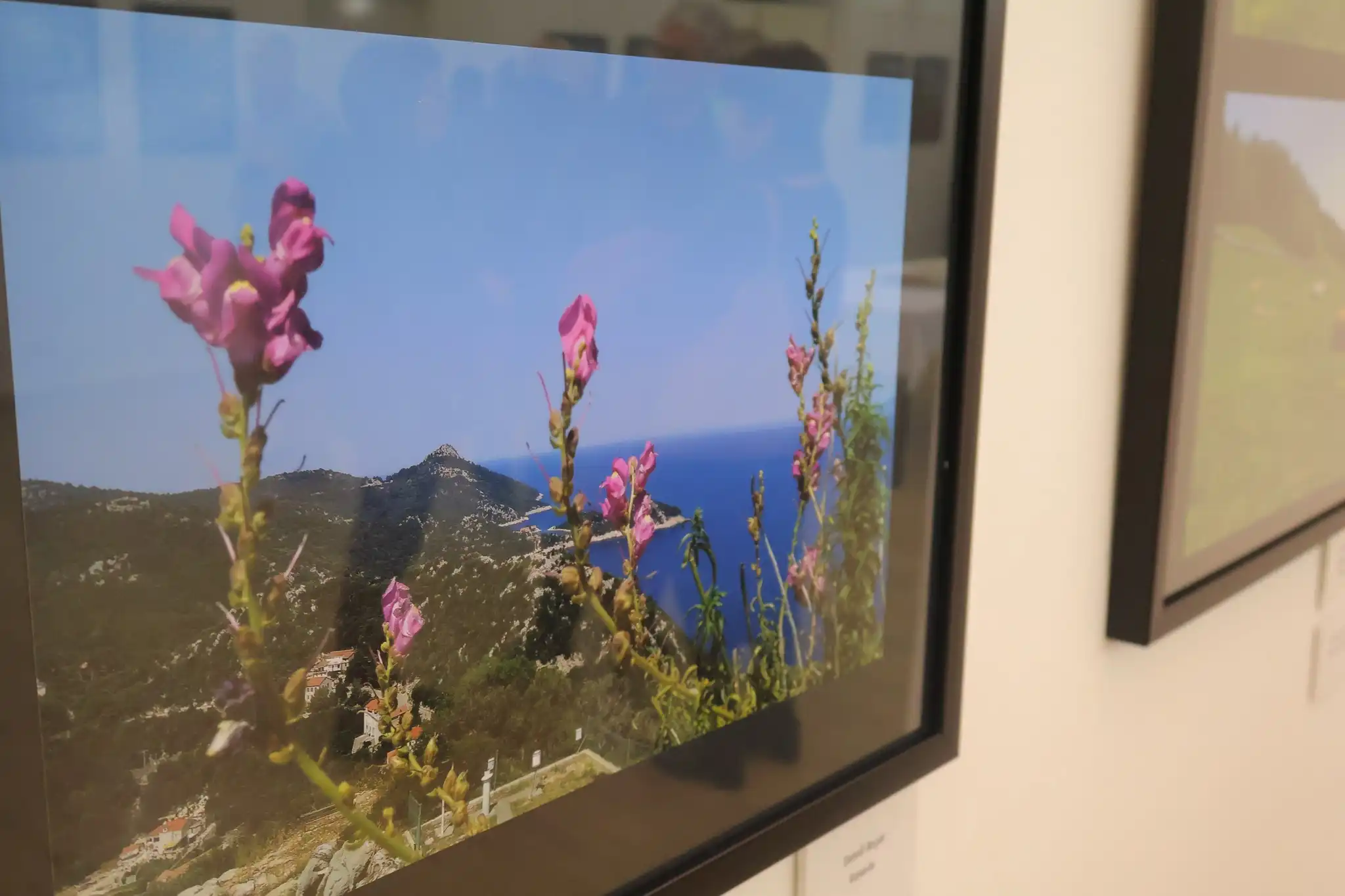 424937207_752293197002284_4595295124000617292_n 424937207_752293197002284_4595295124000617292_n