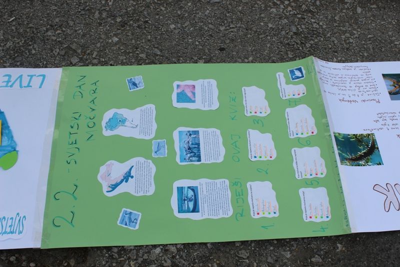 flashmobpribislavec201613142450