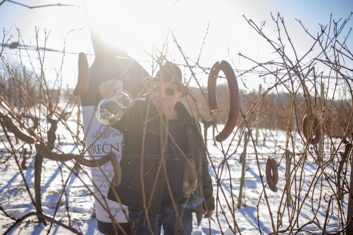 Vincekovo 2024., Štrigova Vincekovo 2024., Štrigova