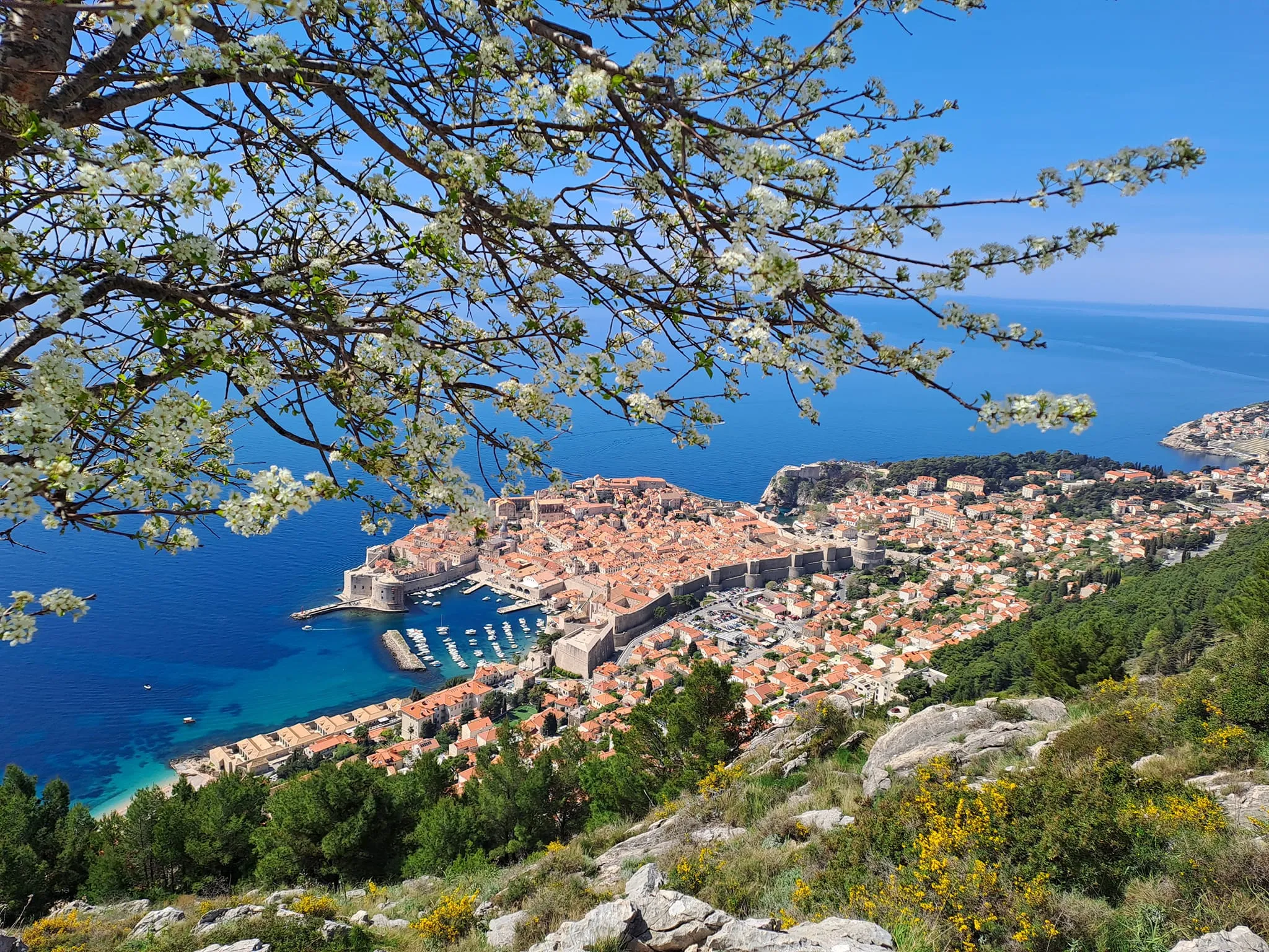 435687852_7912659568746899_5025767782388078650_n 435687852_7912659568746899_5025767782388078650_n