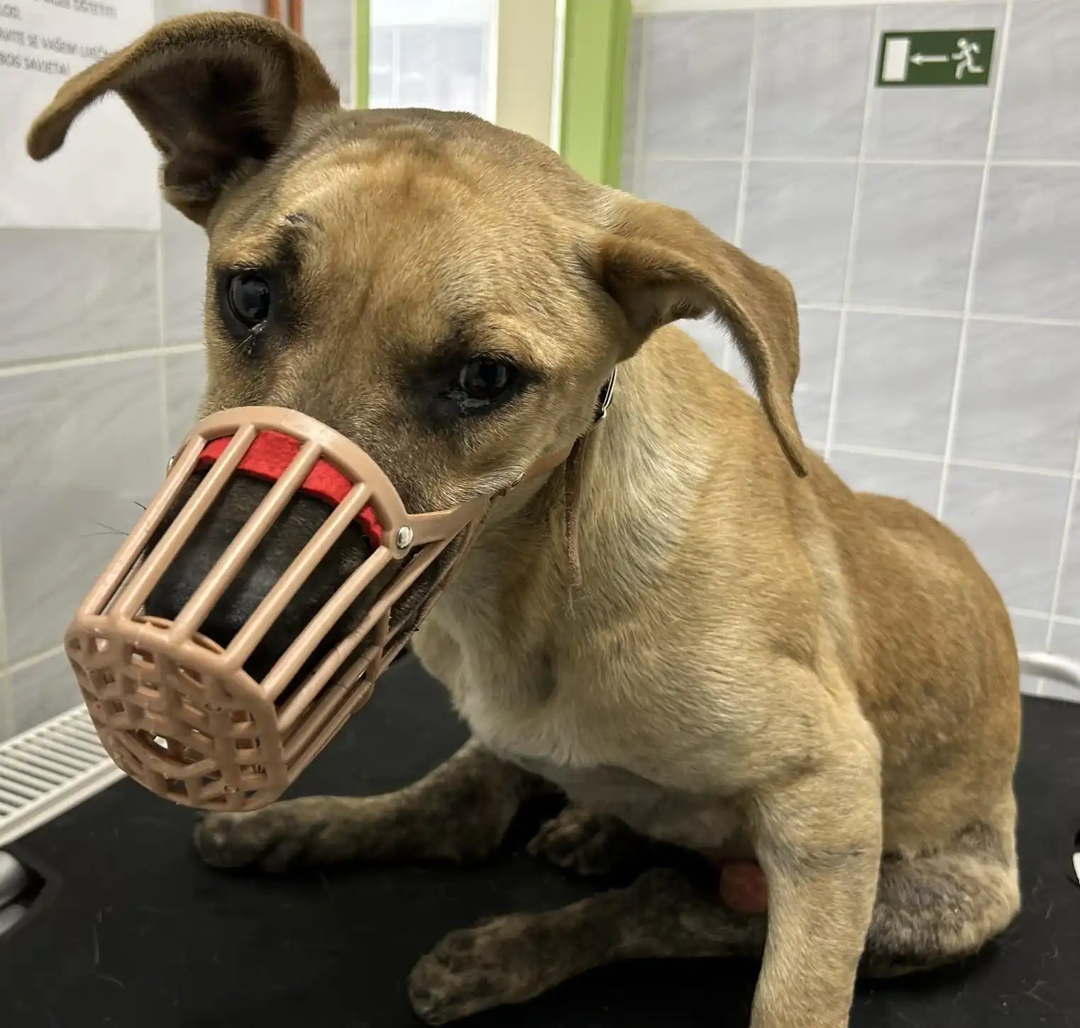 437175730_626766176313633_2664303738102684244_n 437175730_626766176313633_2664303738102684244_n