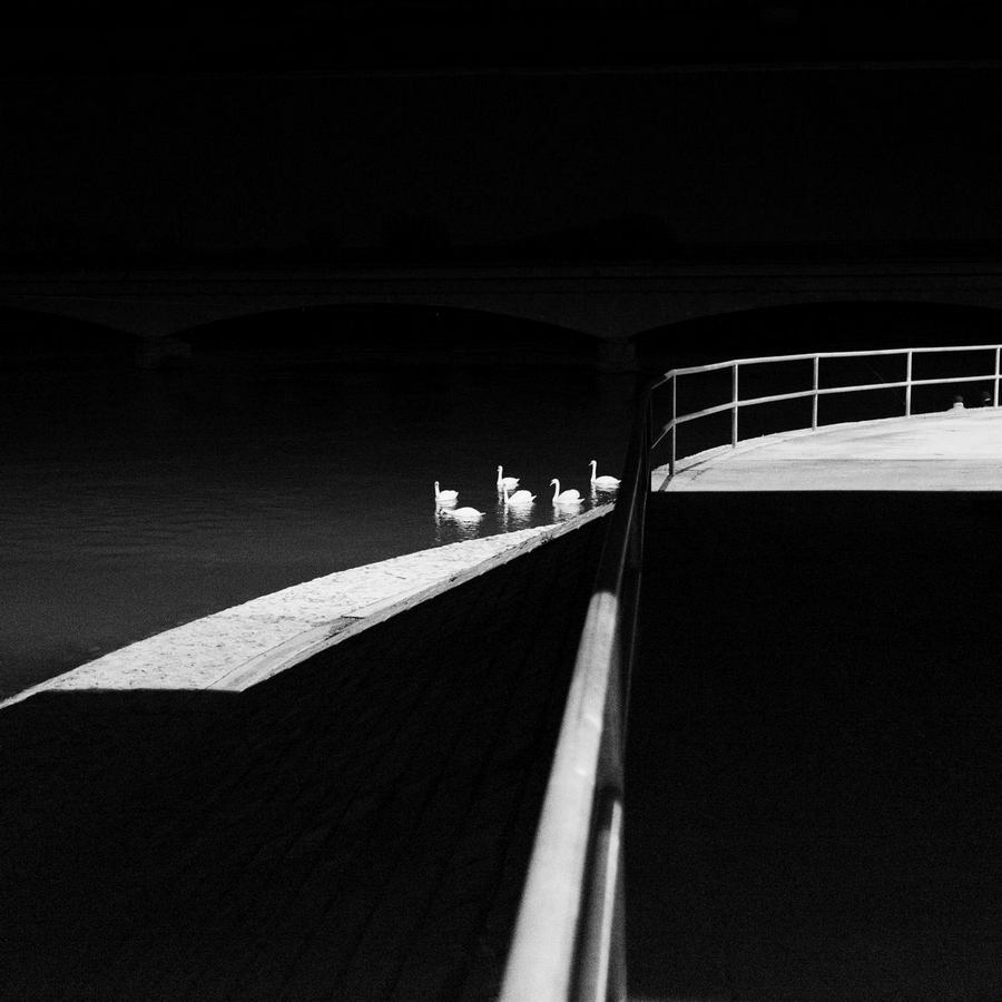 Fotografije Zorana Kolarića iz Čakovca