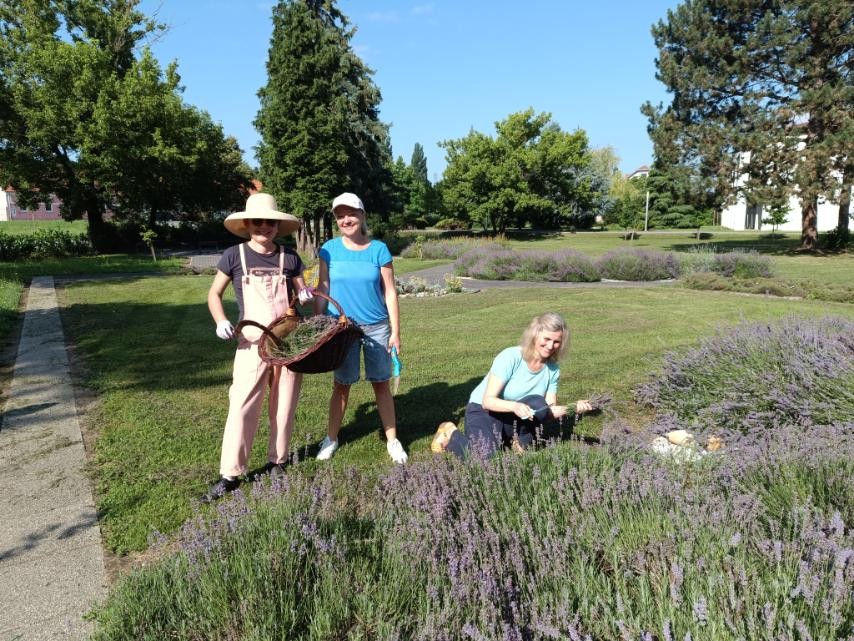 Mirisni vrt ETŠ Čakovec