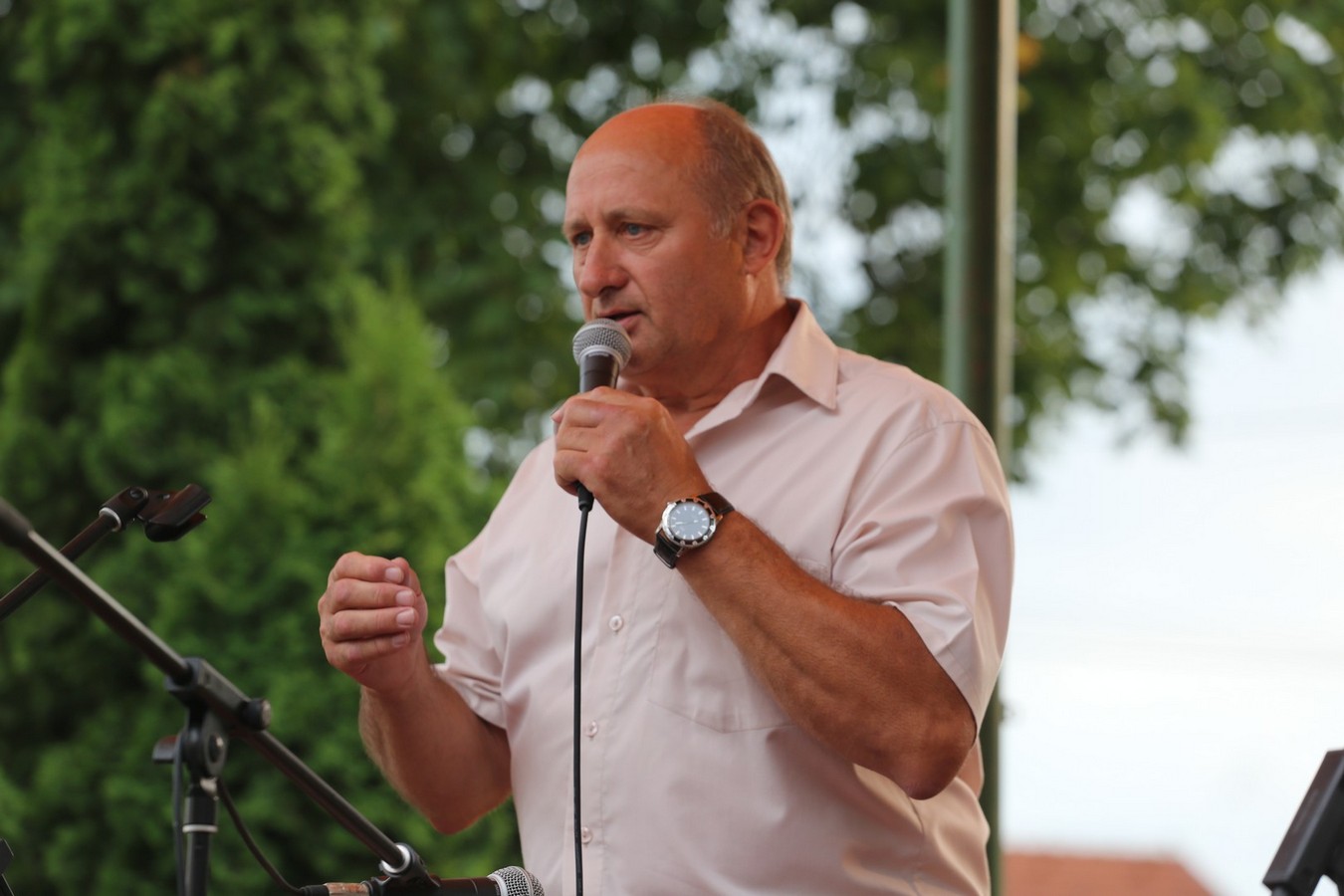 ZA MALU HRABRICU ‘Fijolina za Luku’ – veliki humanitarni koncert za Luku Lehkec u Pribislavcu