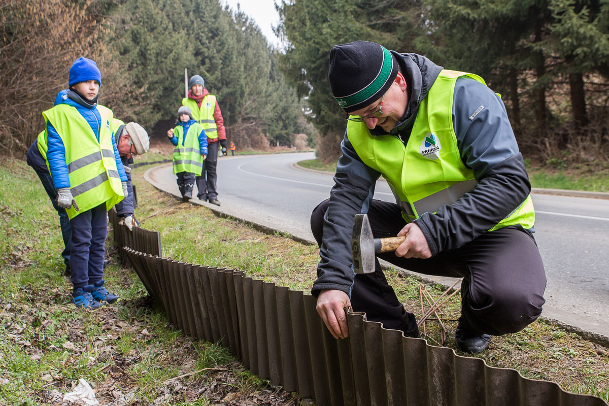 Akcija spašavanja vodozemaca