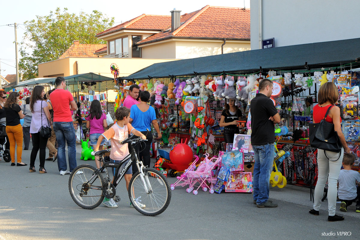 25319827wdsc3371202426