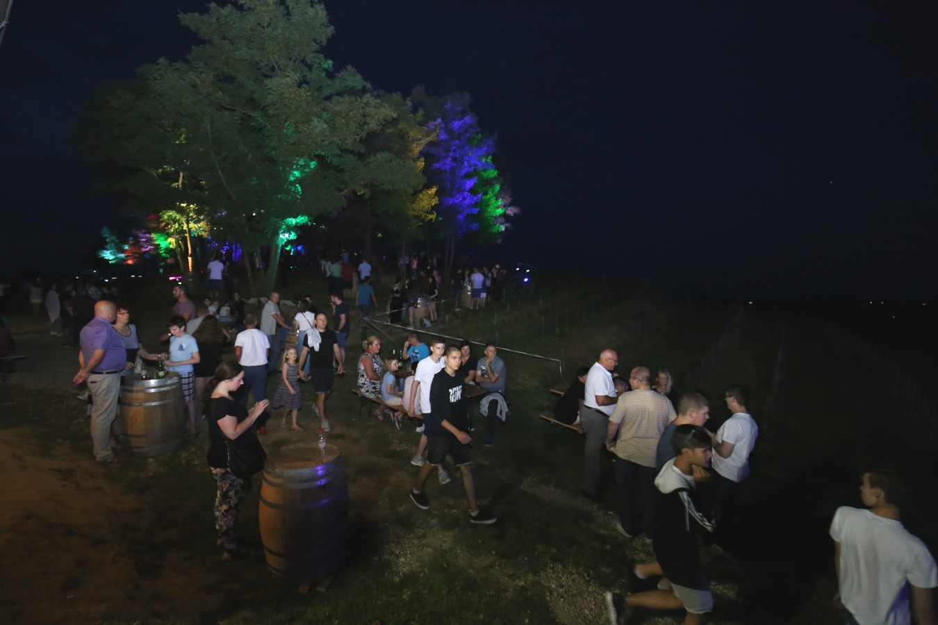 Odličan koncert Vatre u predivnom ambijentu Mađerkinog brega