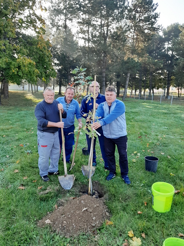 BRAVO, MEĐIMURCI U akciji sadnje drveća na širem čakovečkom području posađeno stotine novih stabala BRAVO, MEĐIMURCI U akciji sadnje drveća na širem čakovečkom području posađeno stotine novih stabala