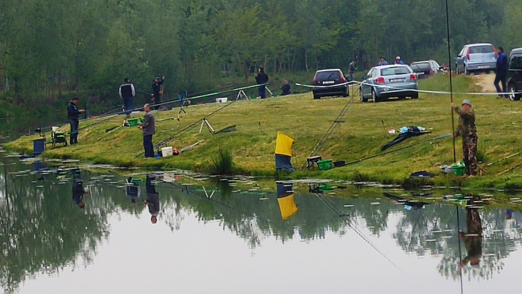 20160501081205772756