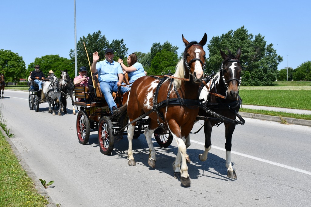 VIDEO I FOTO Međunarodno konjičko druženje okupilo brojne uzgajivače konja iz SZ Hrvatske te Slovenije i Austrije