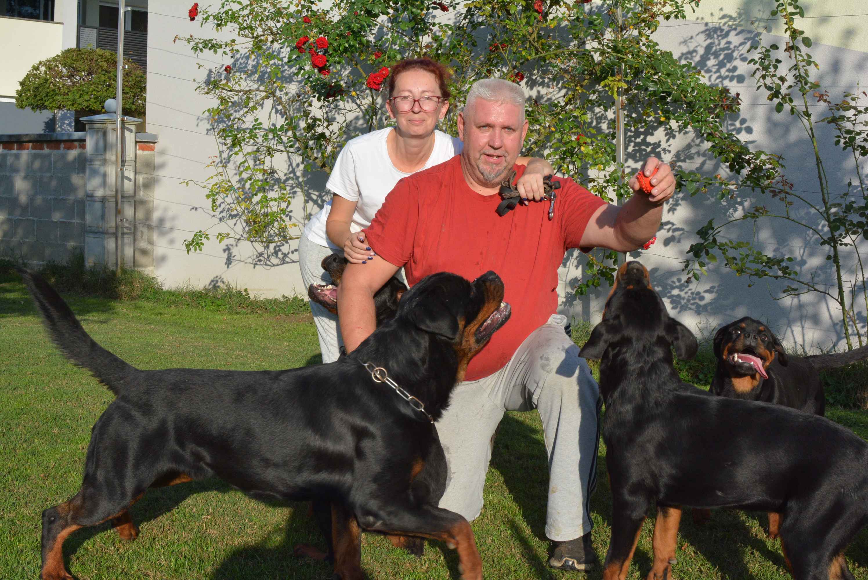 OBITELJ MIKAC IZ MIHOVLJANA Od 2014. godine imaju profinjenu uzgajivačnicu Rottweilera – ‘psi su naša najveća ljubav’ OBITELJ MIKAC IZ MIHOVLJANA Od 2014. godine imaju profinjenu uzgajivačnicu Rottweilera – ‘psi su naša najveća ljubav’