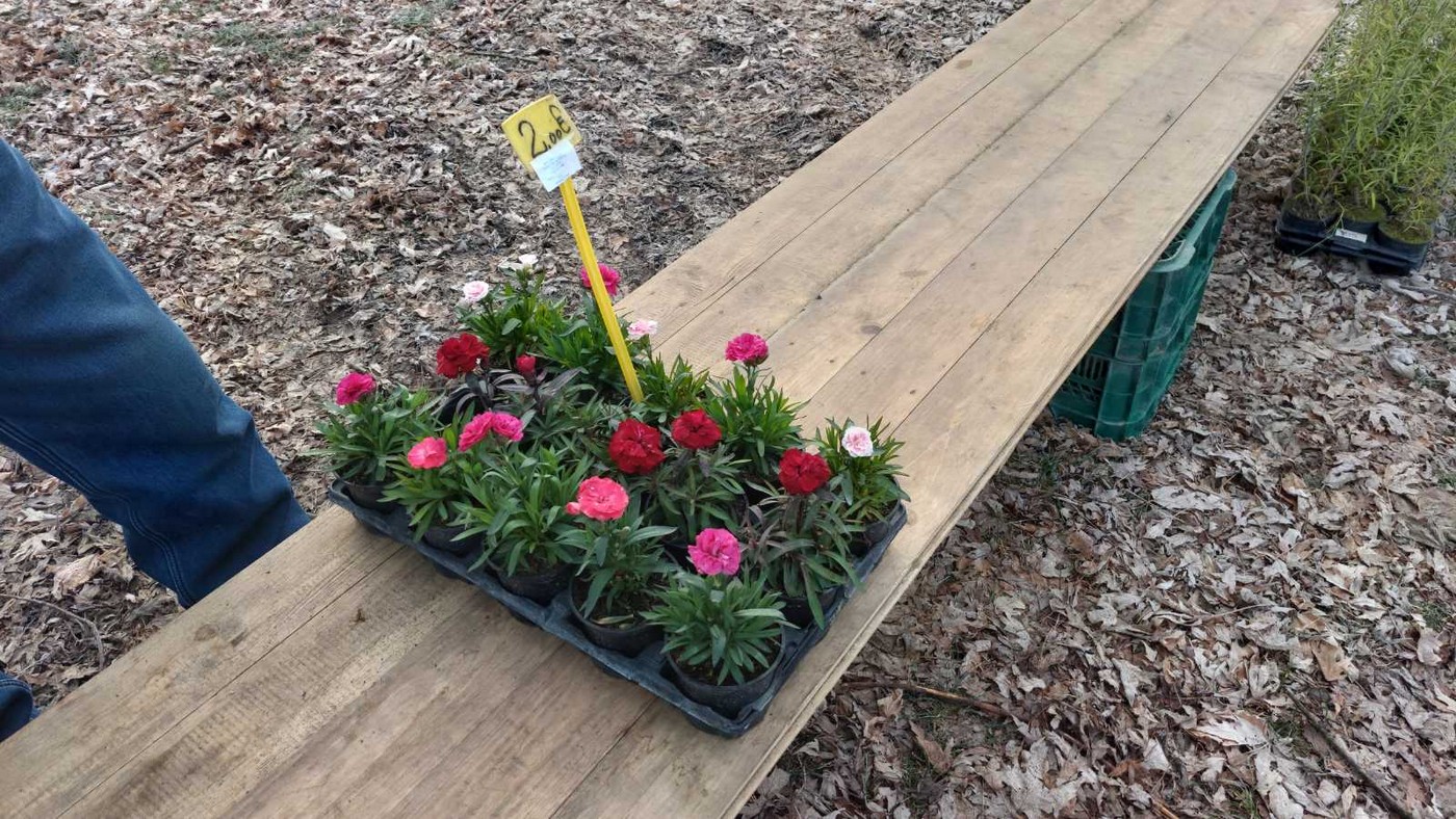 Čakovečki sajam 31.1.2024