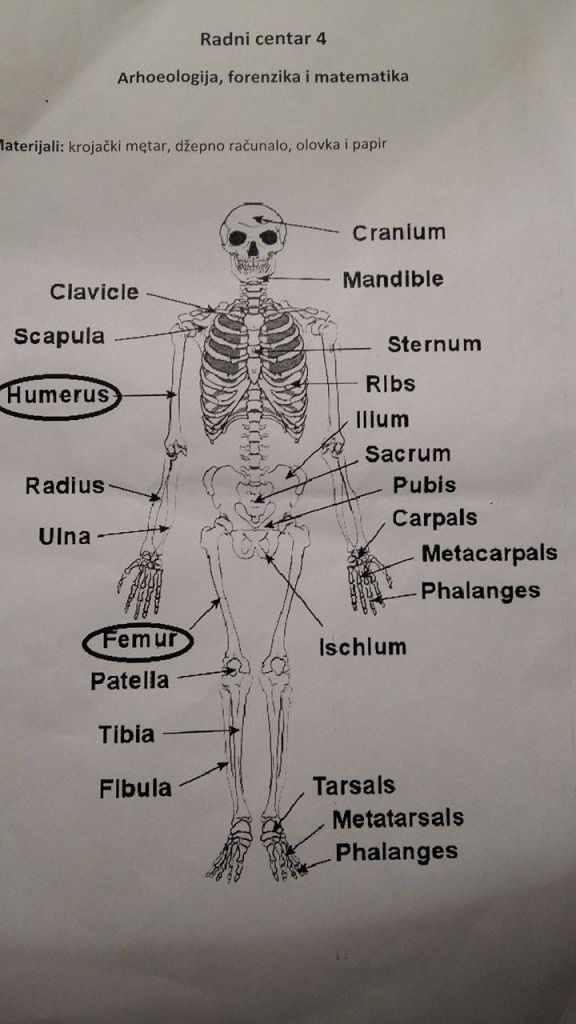 1235950892628023077482117980564