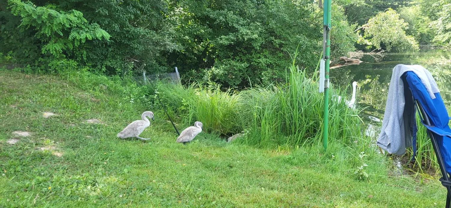 449343945_10225688944752972_5912474805862830275_n