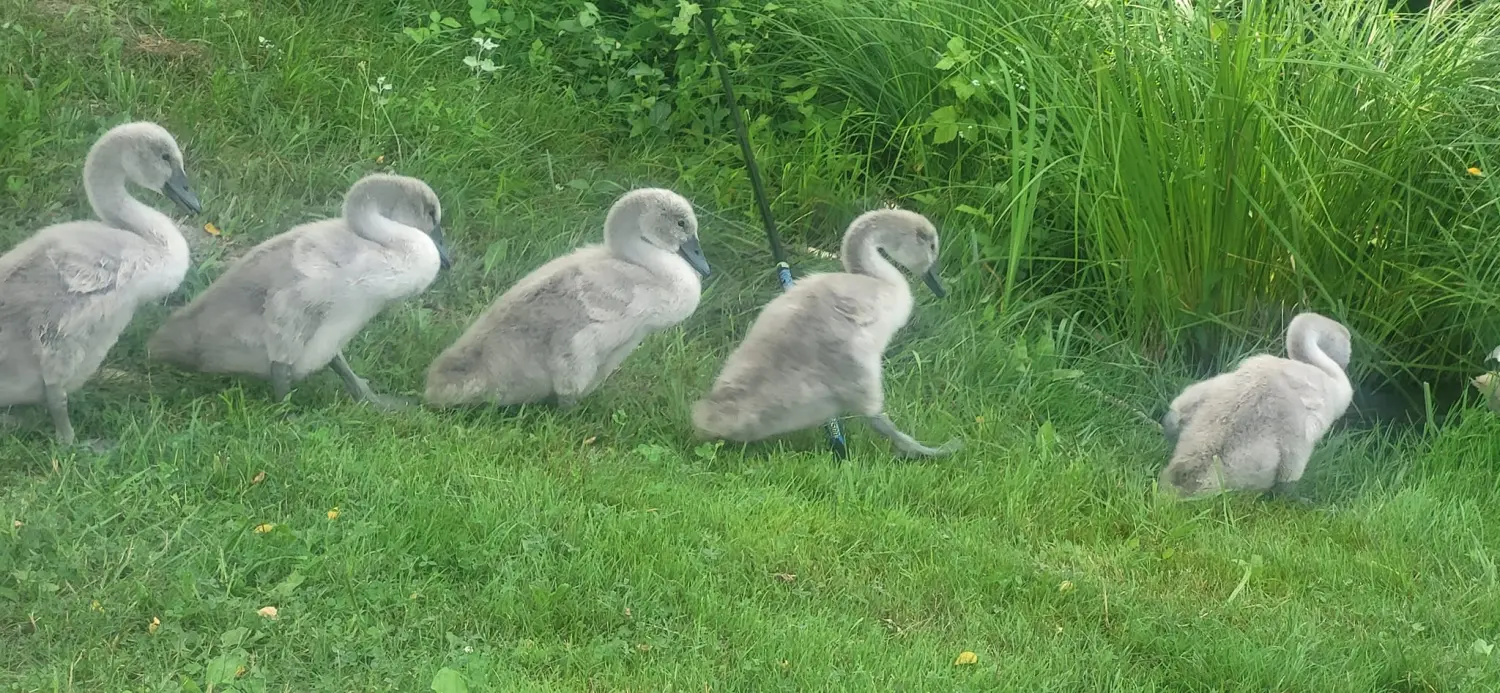 449362617_10225688943952952_5320209044561429751_n