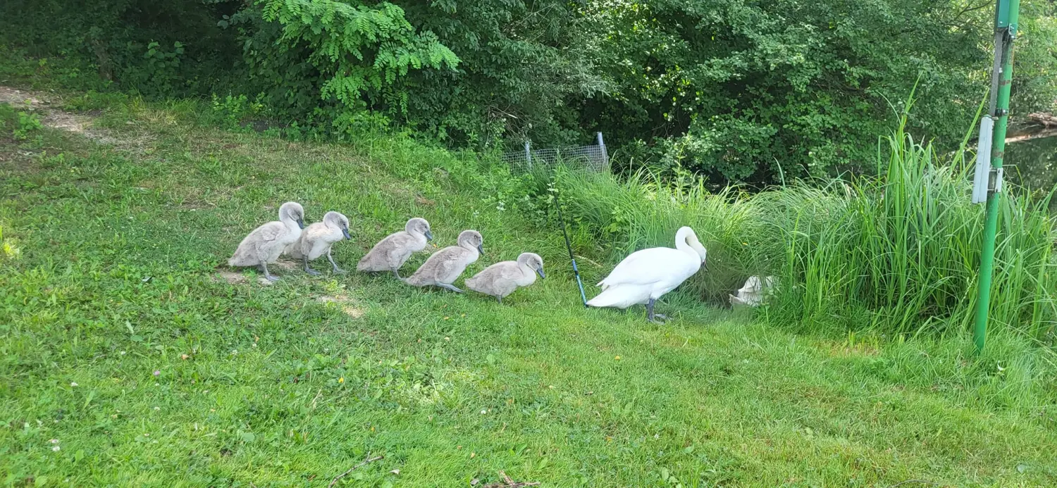 449364108_10225688908312061_1787882408555577088_n