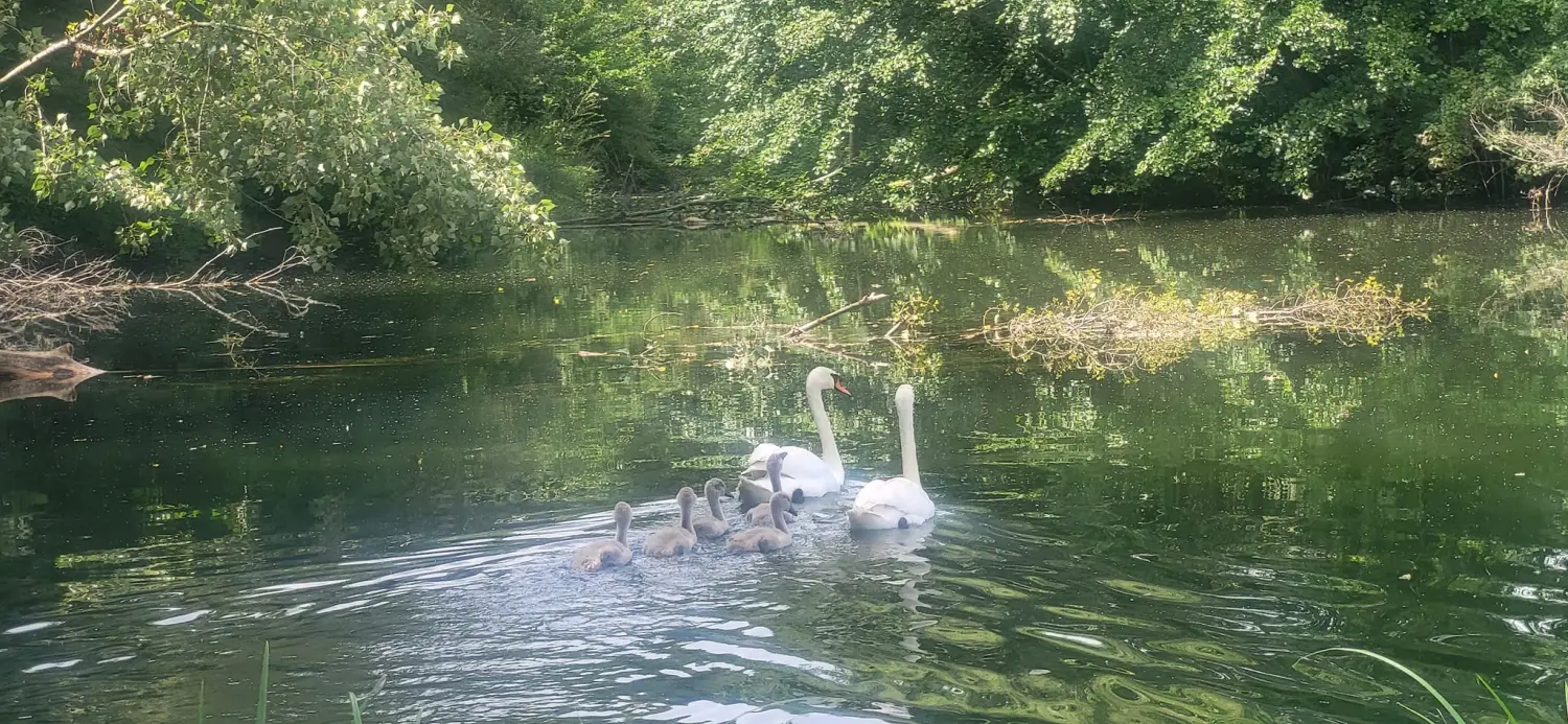 449375545_10225688945192983_776238409813352181_n