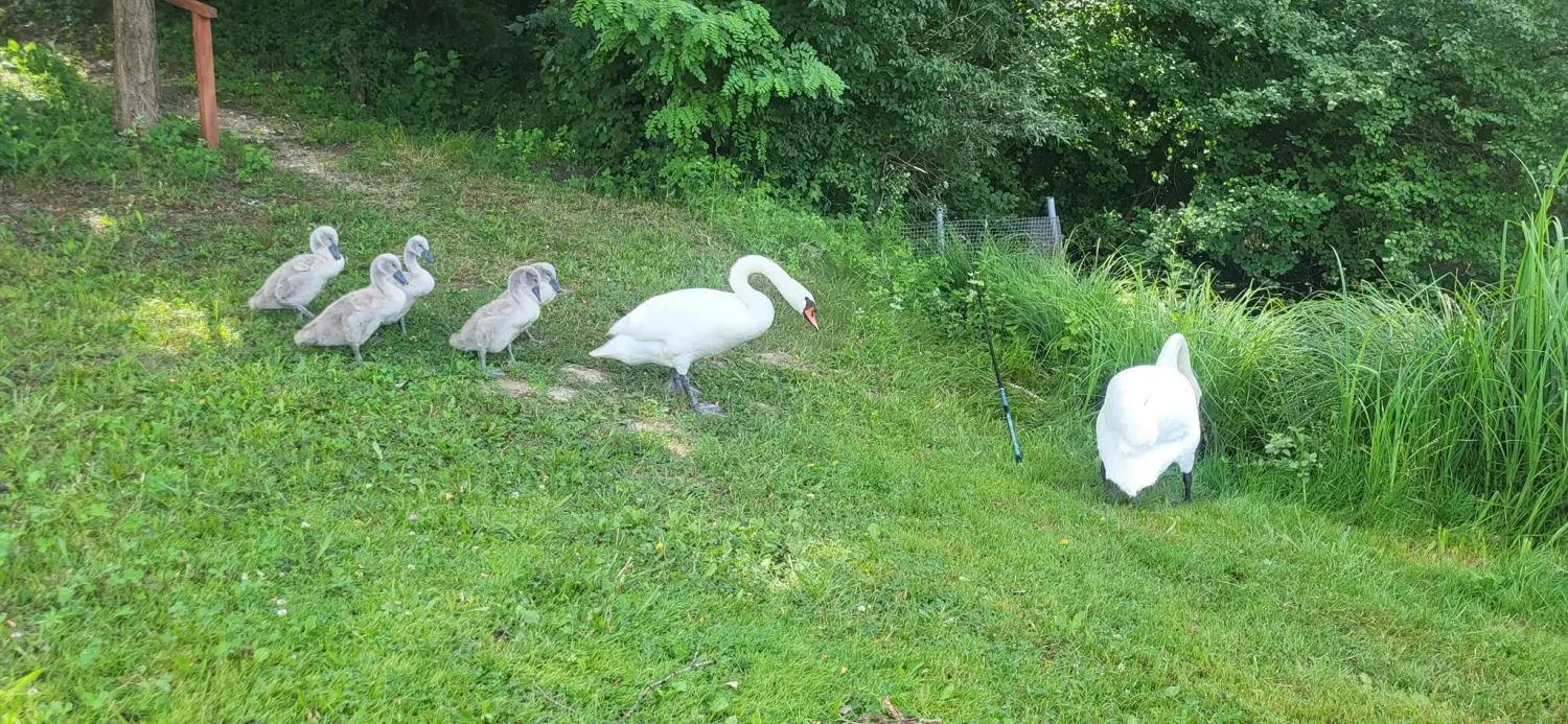 449497448_10225688907552042_2442033004271124295_n