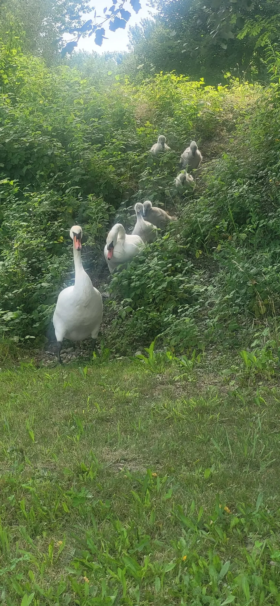 449519619_10225688904591968_7417135842626740959_n