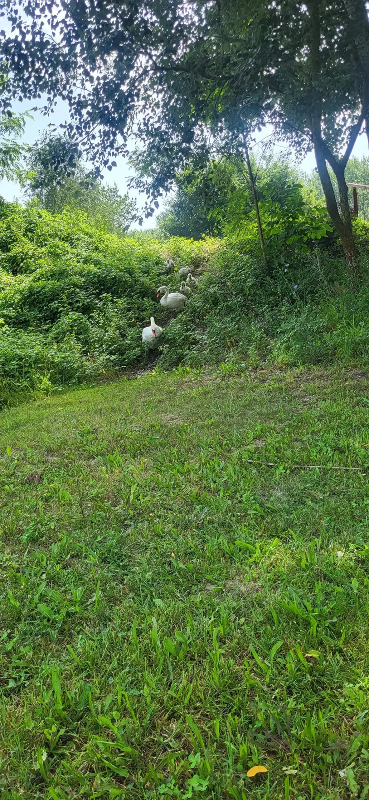 449529272_10225688903591943_417944885024518006_n