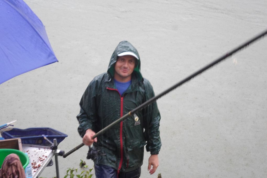 sam1661387264