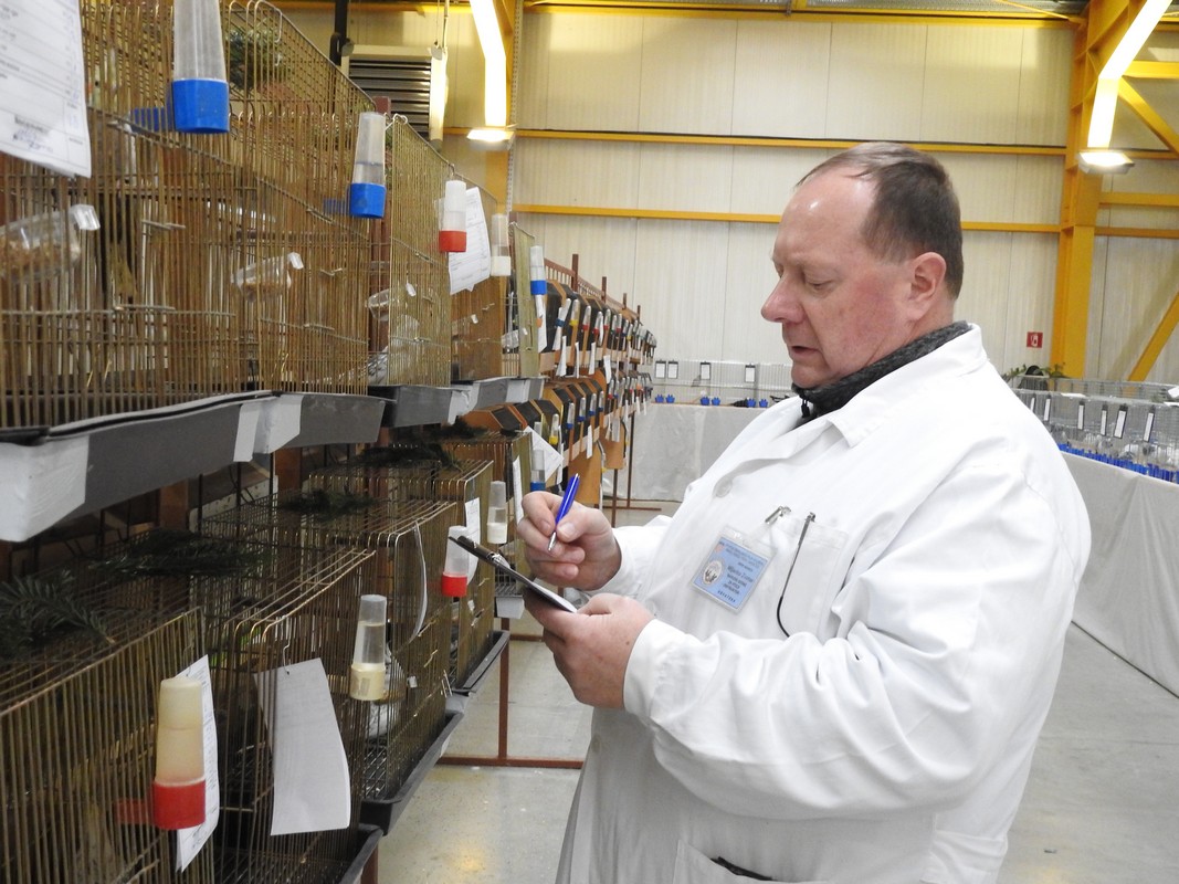 Izložba malih životinja, Mesap,