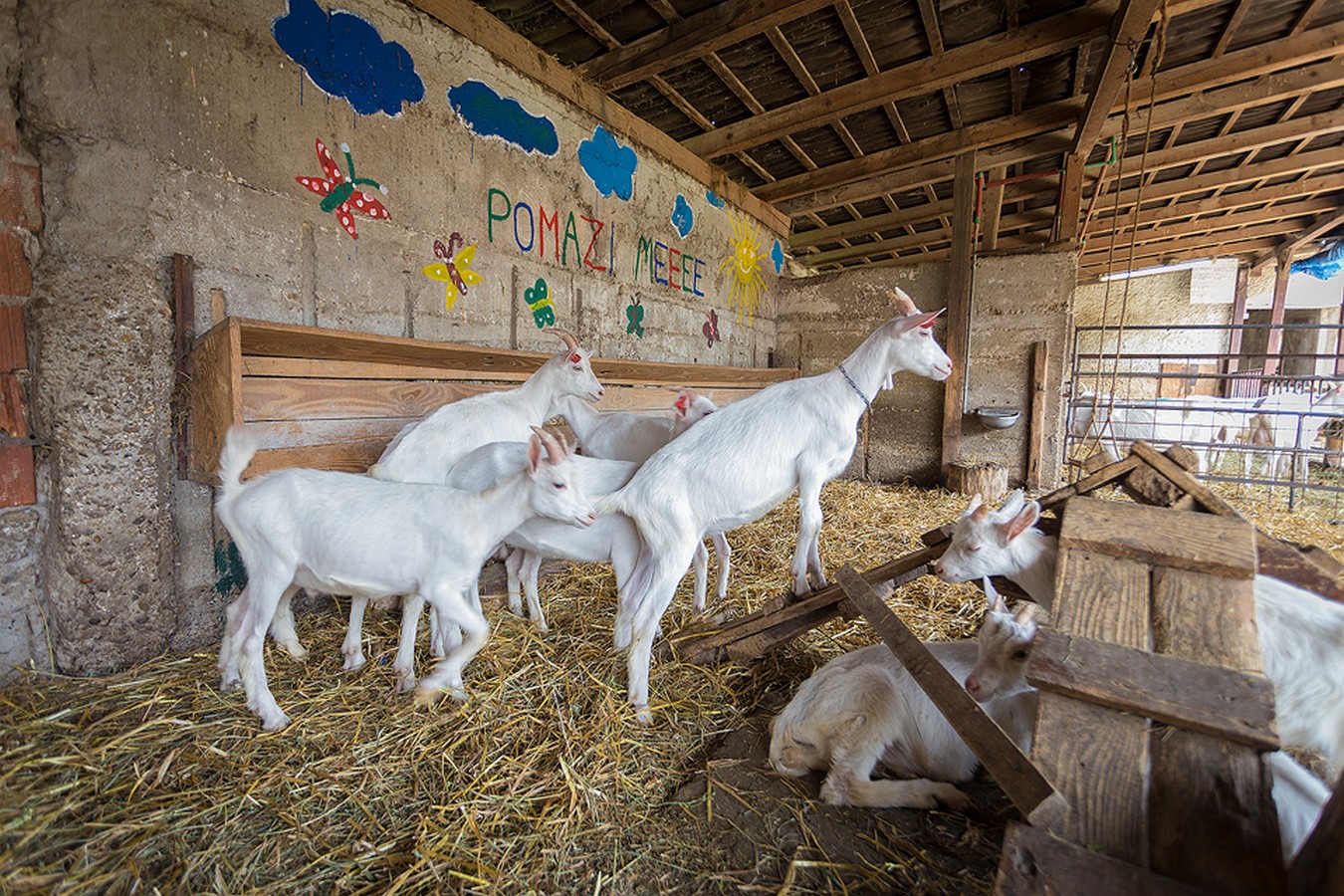 Dan otvorenih vrata OPG-a Zadravec u Oporovcu
