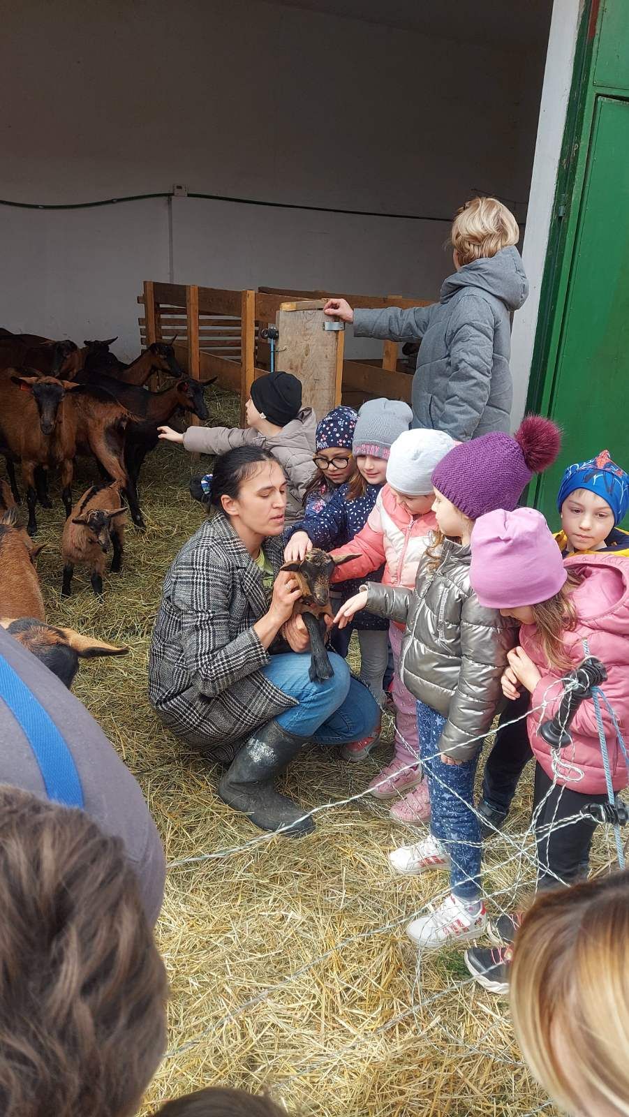 Jelena Vuletić Čičko