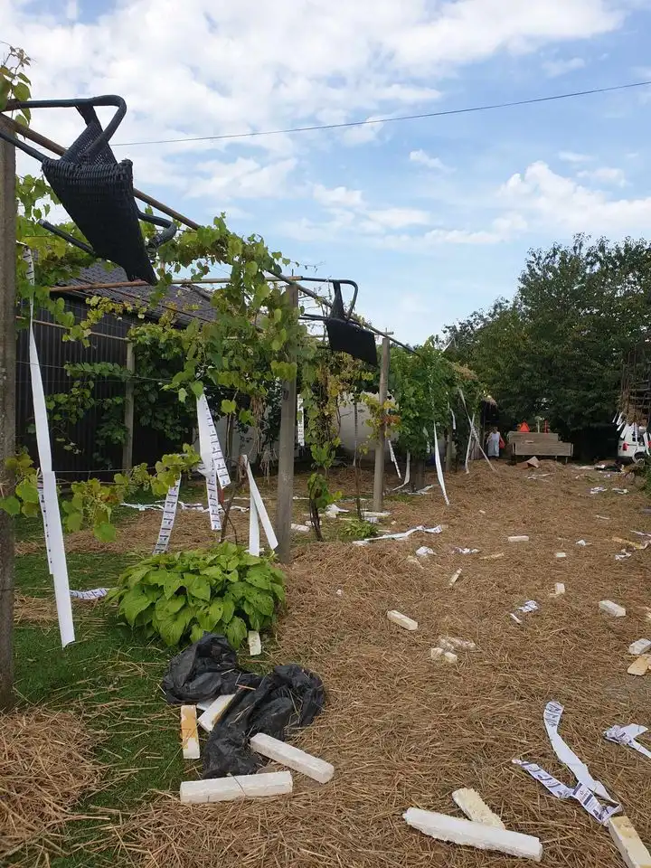 450467862_439861565704166_7391644462605549065_n 450467862_439861565704166_7391644462605549065_n