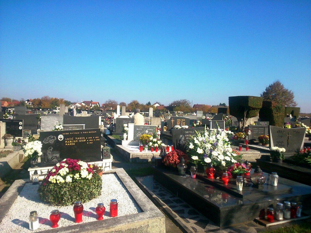 8906330791a49d75f73835644c6d331