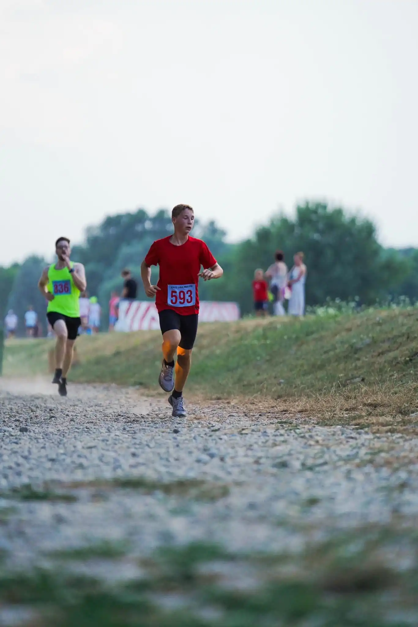 452050287_1003661198165364_7420592411214436562_n