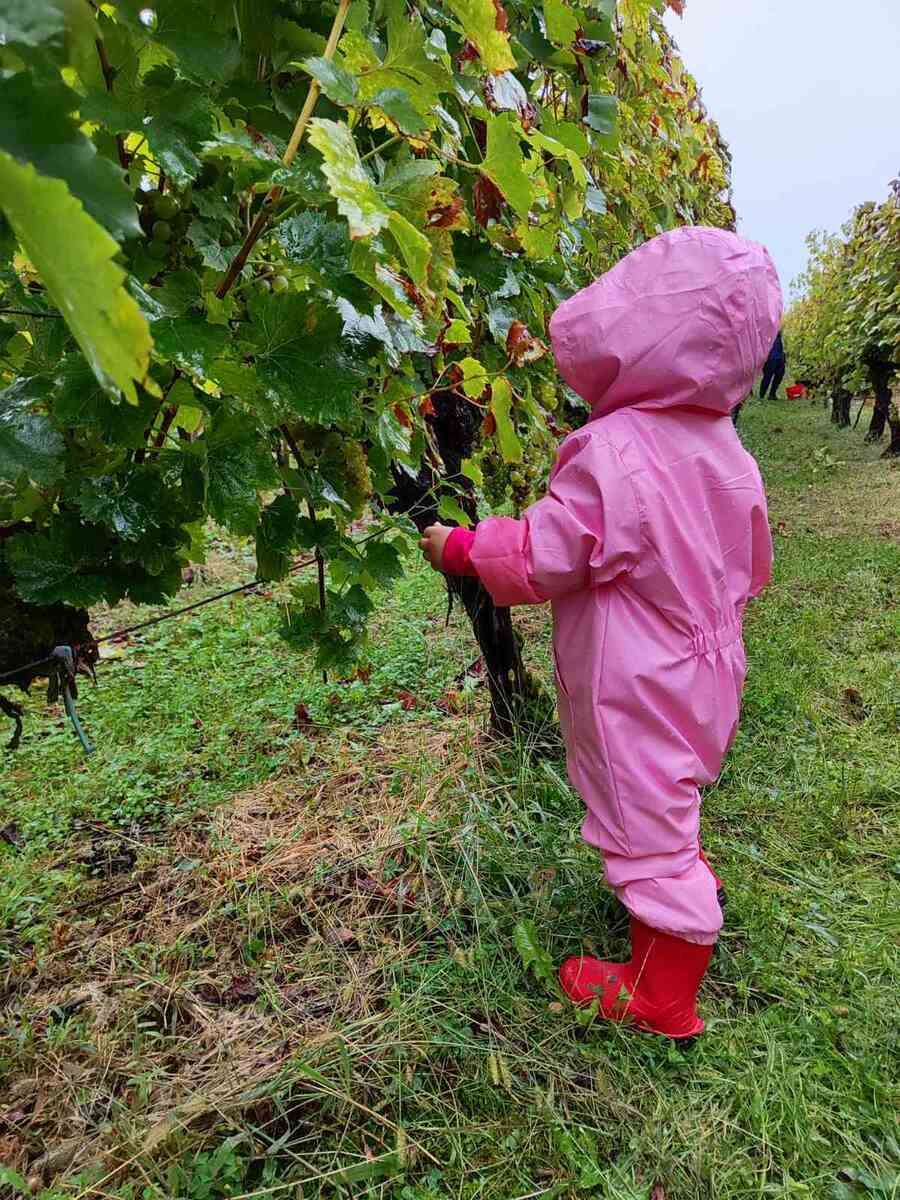 bratva sveti urban 2023 puklavec horvat