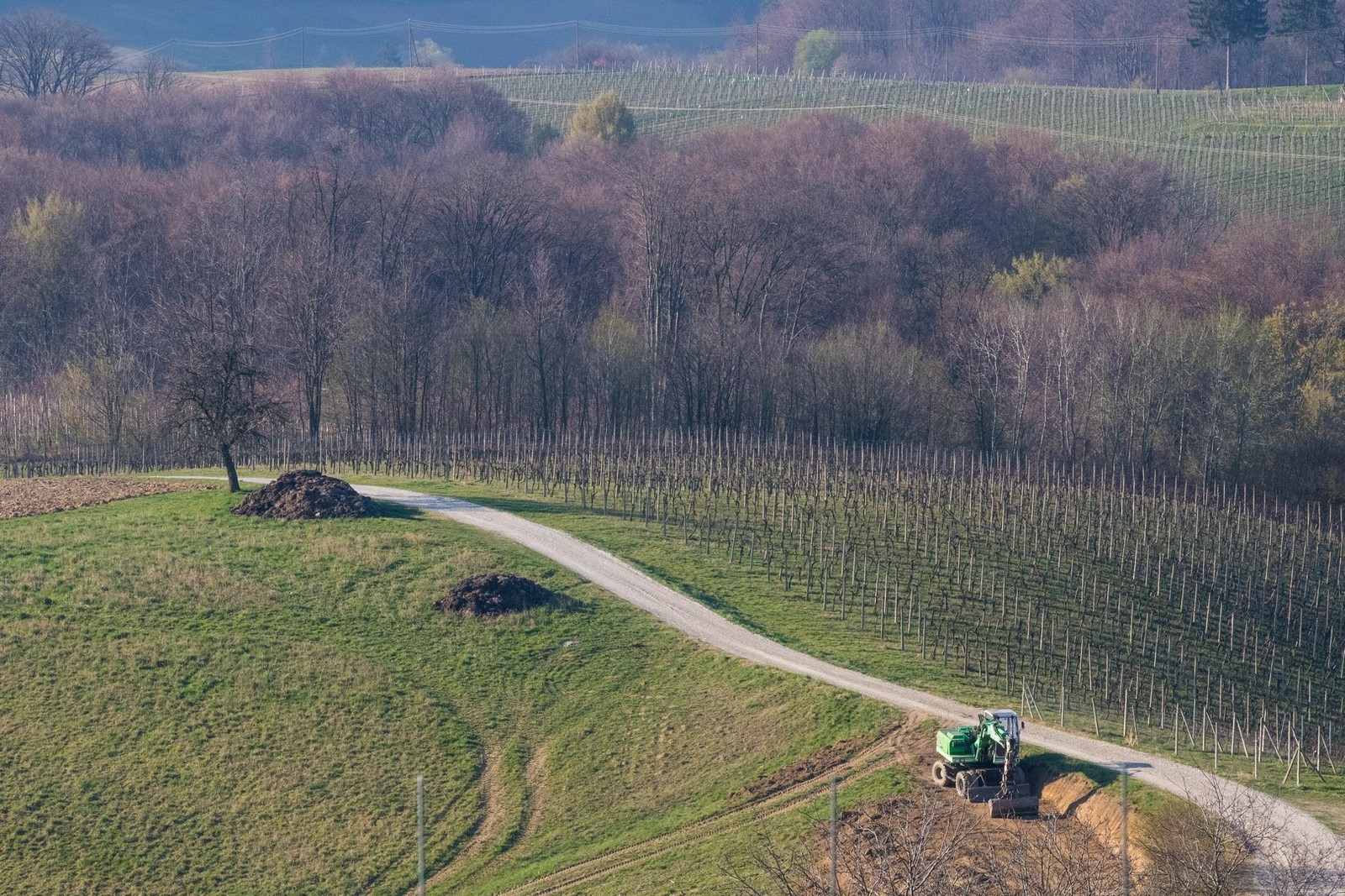 FOTO Prvi dan proljeća u Međimurju: Pogledajte predivne fotografije šetnje po Mađernikom bregu i Žabniku FOTO Prvi dan proljeća u Međimurju: Pogledajte predivne fotografije šetnje po Mađernikom bregu i Žabniku