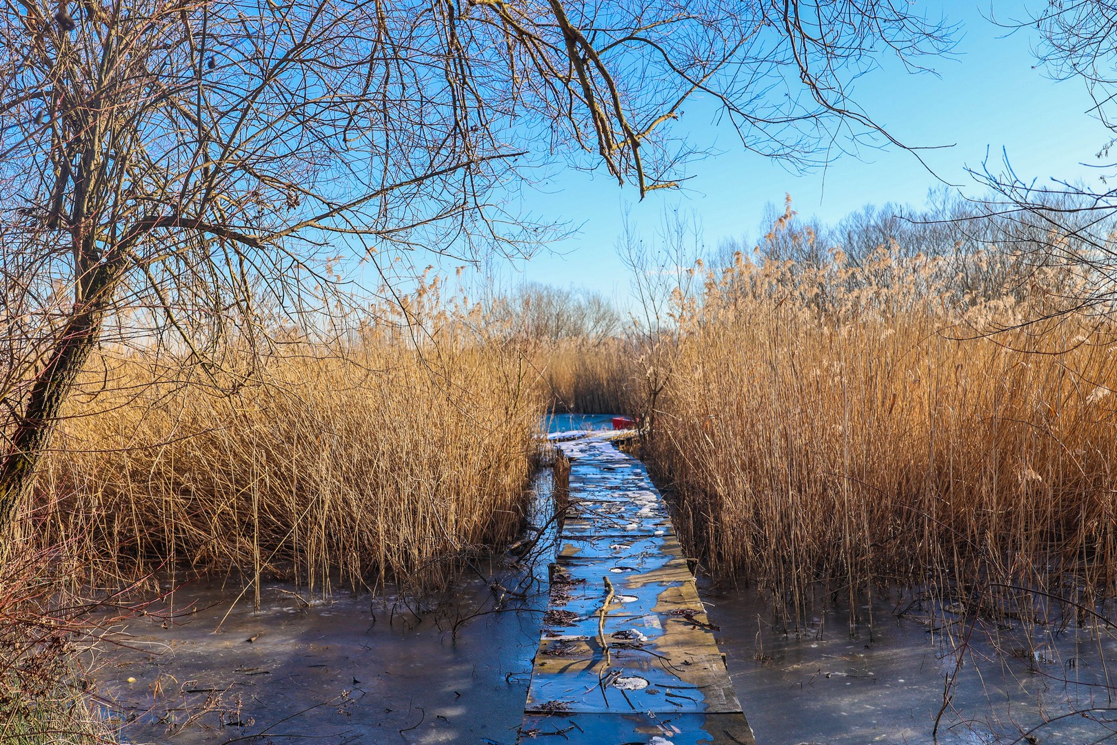ZIMA NA MARINI Fotografije Miroslave Hranjec će vas oduševiti