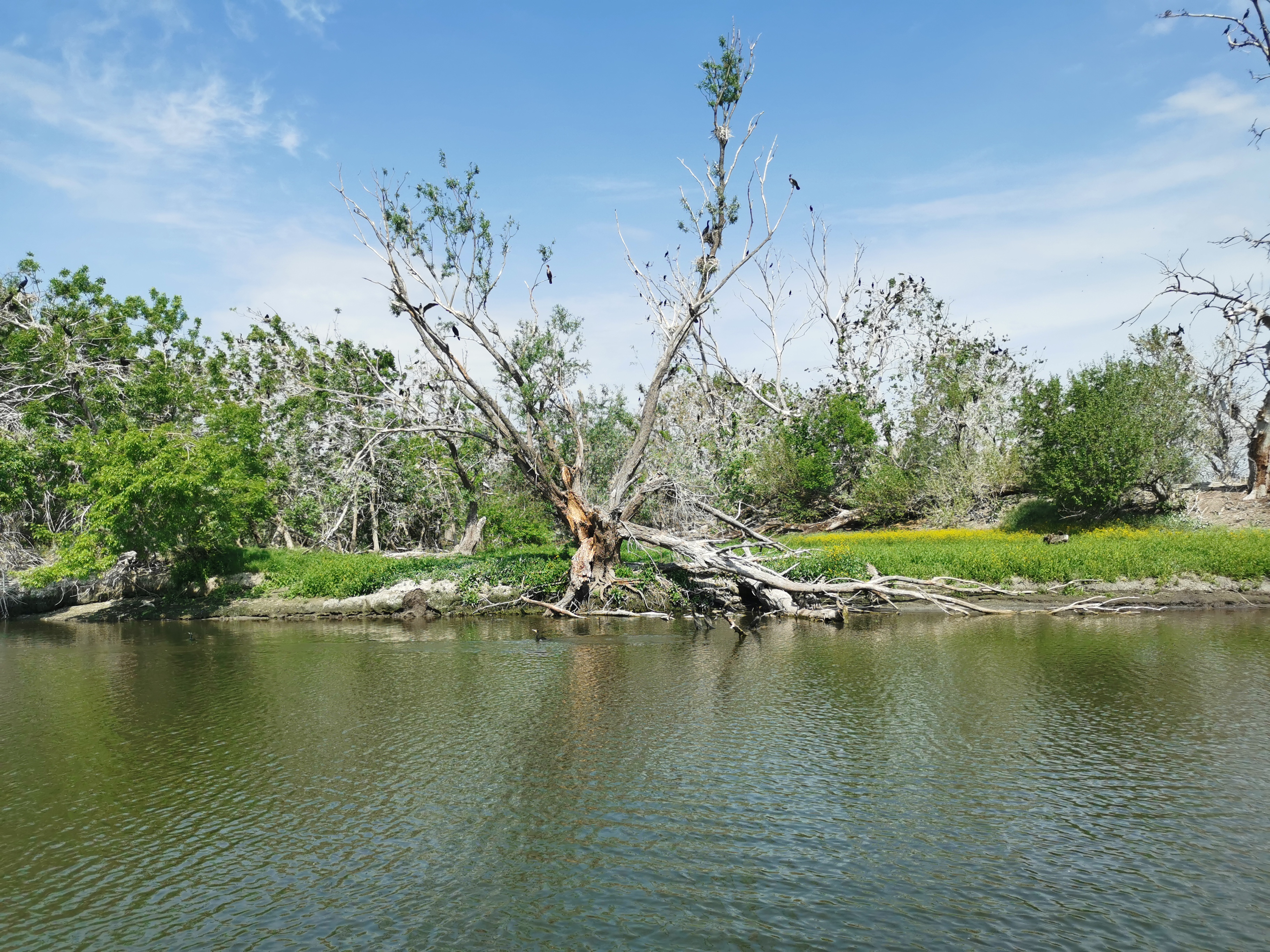 Darivatelji krvi i volonteri GOCK Prelog uputili su se na zasluženi jednodnevni izlet