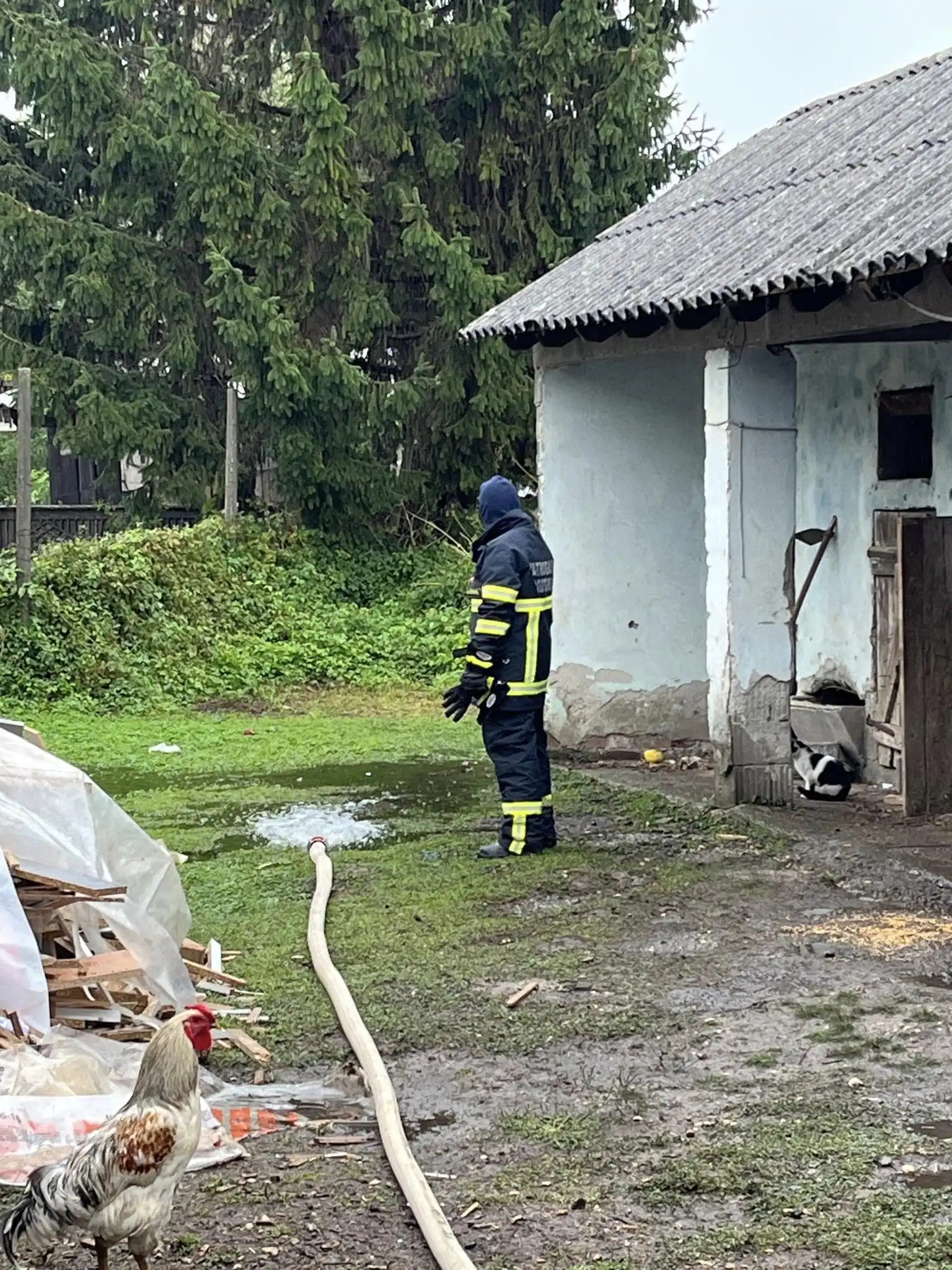 459881219_858316553070849_514987876427086653_n 459881219_858316553070849_514987876427086653_n