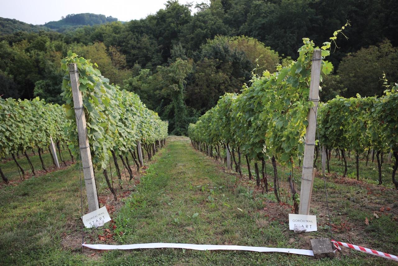 Drugi Gorički trail u organizaciji obitelji Hažić