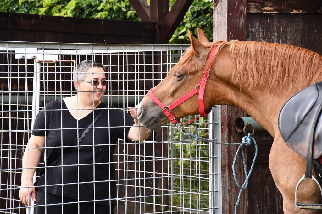 VIDEO I FOTO Međimurska škrinjica pokazala svo bogatstvo kraja med Murom i Dravom
