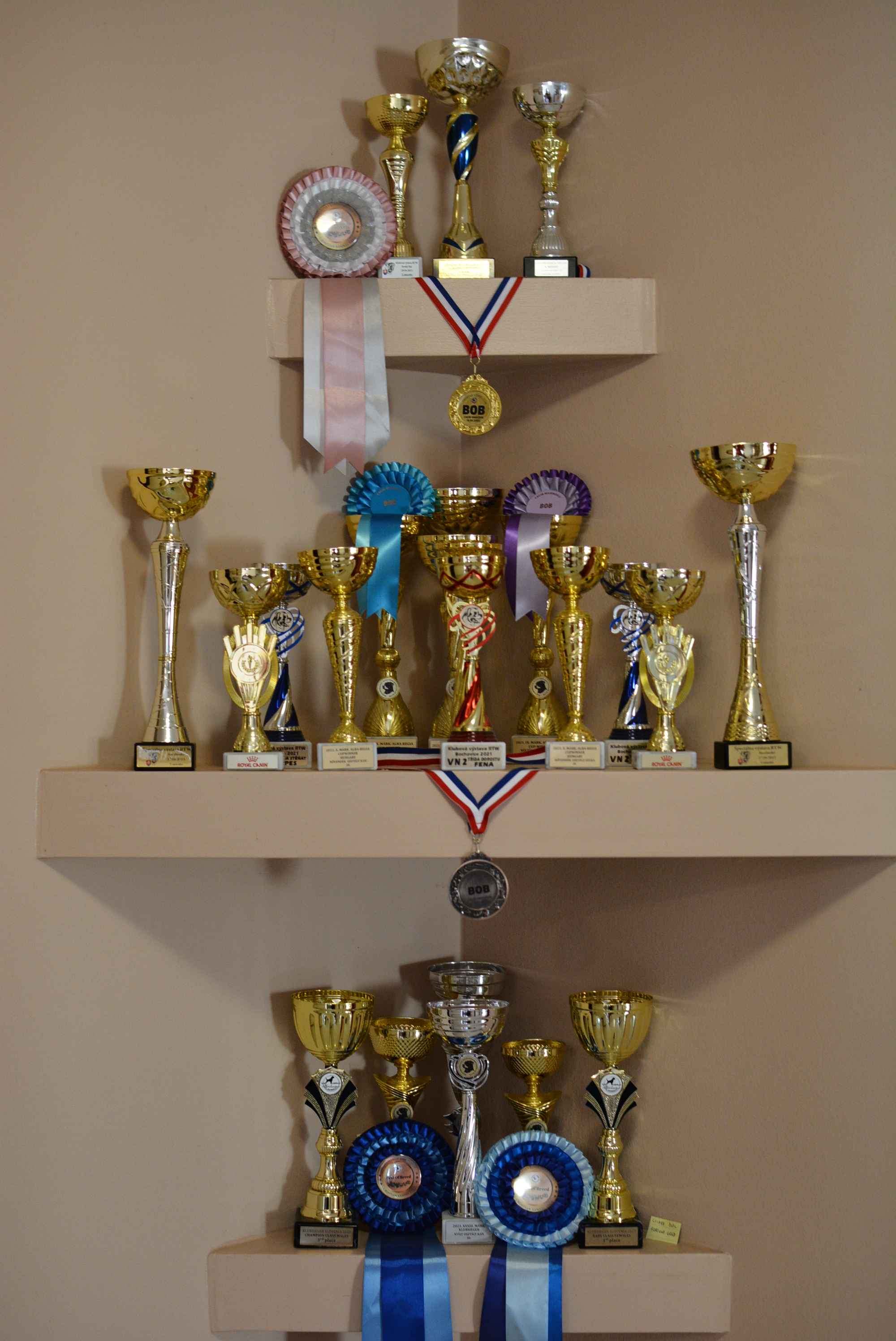 OBITELJ MIKAC IZ MIHOVLJANA Od 2014. godine imaju profinjenu uzgajivačnicu Rottweilera – ‘psi su naša najveća ljubav’ OBITELJ MIKAC IZ MIHOVLJANA Od 2014. godine imaju profinjenu uzgajivačnicu Rottweilera – ‘psi su naša najveća ljubav’