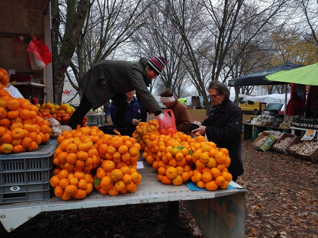 ČAKOVEČKI SAJAM Nema čega nema pa čak i – božićnih žaruljica!